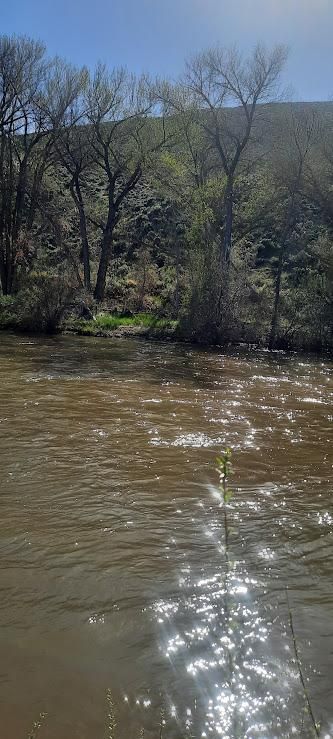 Property for sale in Carson City County, Nevada