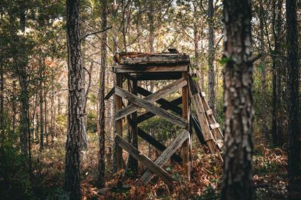 Ranch Property for sale in Ben Hill County, Georgia