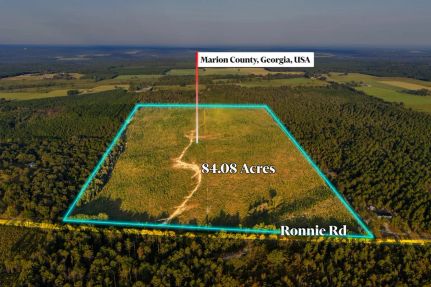 Property for sale in Marion County, Georgia