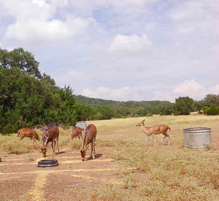 Residential Property for sale in Medina County, Texas