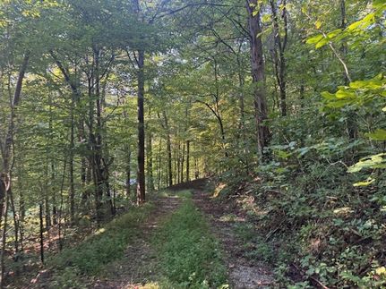 Property for sale in Bedford County, Tennessee