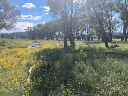 Riverfront Property for sale in Catron County, New Mexico