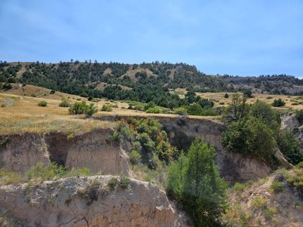 Timberland Property for sale in Scotts Bluff County, Nebraska