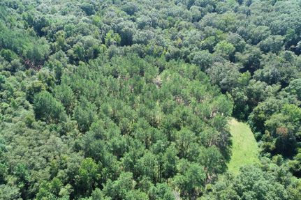 Hunting Land for sale in Henry County, Alabama