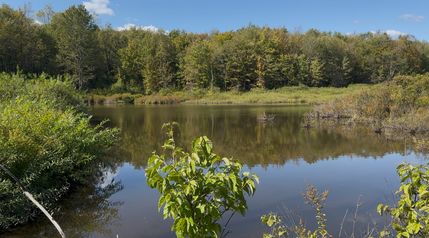 Farm Property for sale in Chenango County, New York