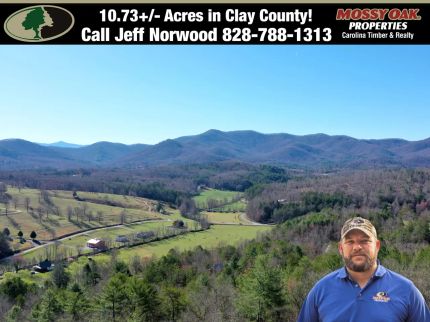 Property for sale in Clay County, North Carolina