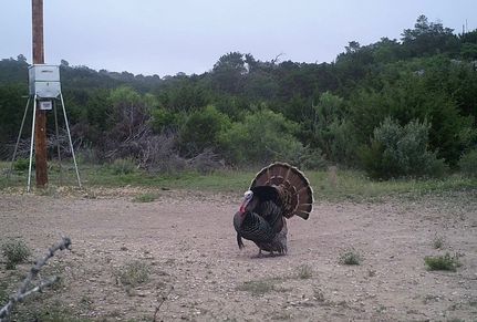 Farm Property for sale in Edwards County, Texas