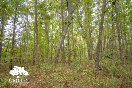 Hunting Land for sale in Wilkes County, Georgia