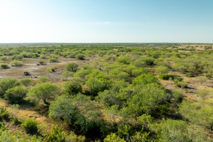 Ranch Property for sale in Jim Wells County, Texas