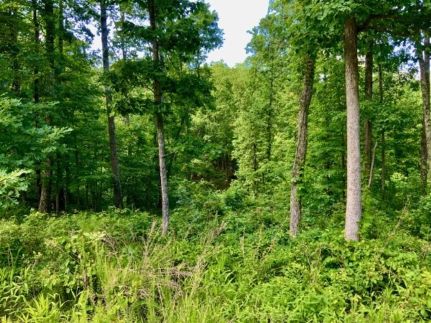 Hunting Land for sale in Humphreys County, Tennessee