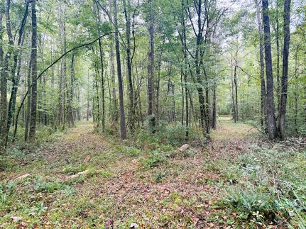 Property for sale in Amite County, Mississippi