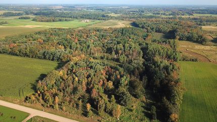 Farm Property for sale in Morrison County, Minnesota