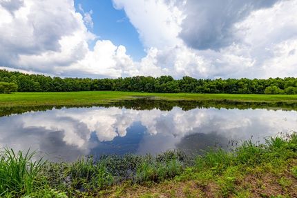 Hunting Land for sale in Saline County, Illinois