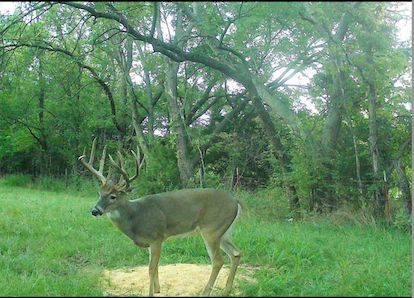 Recreational Property for sale in Labette County, Kansas