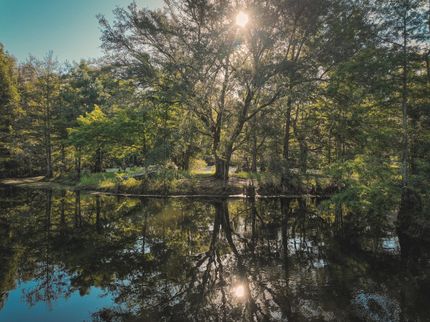 Property for sale in Jefferson County, Florida