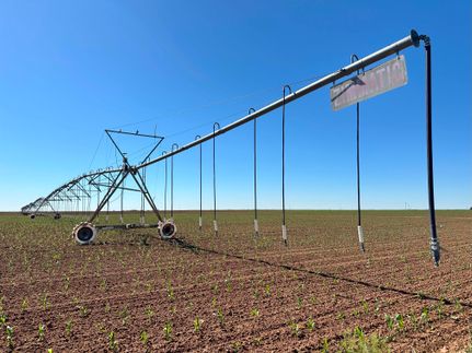 Farm Property in Curry County, New Mexico