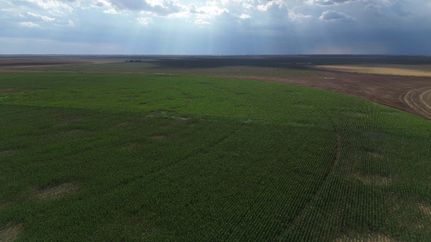 Farm Property in Parmer County, Texas