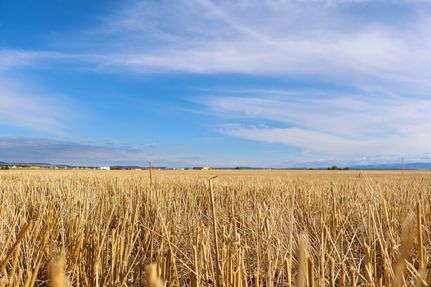 Commercial Property for sale in Fergus County, Montana