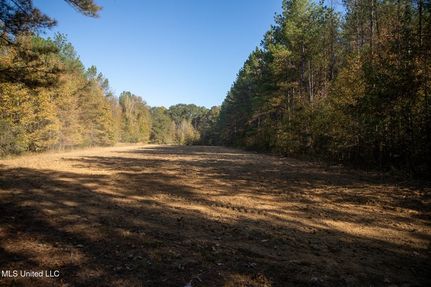 Property for sale in Yazoo County, Mississippi