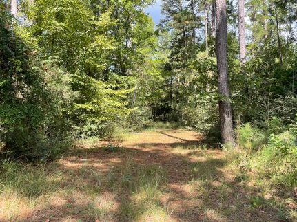 Undeveloped Land for sale in Houston County, Texas
