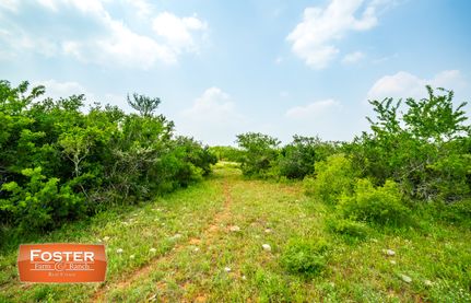 Undeveloped Land for sale in Jim Wells County, Texas