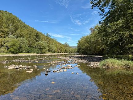 Property for sale in Cameron County, Pennsylvania