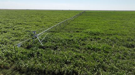 Farm Property for sale in Cimarron County, Oklahoma