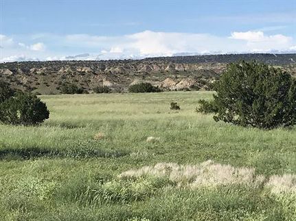 Hunting Land for sale in Apache County, Arizona