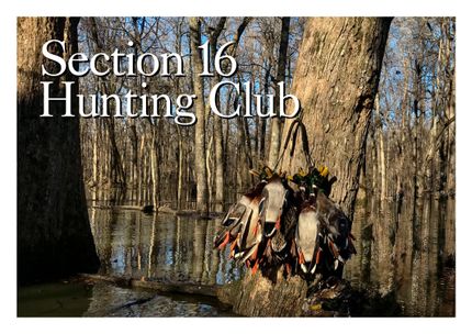 Property for sale in Monroe County, Arkansas