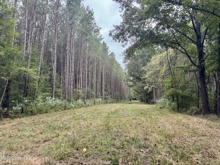 Property for sale in Madison County, Mississippi