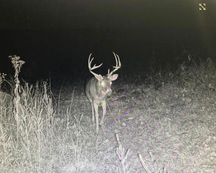 Recreational Property for sale in Jasper County, Missouri