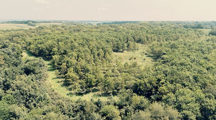 Property for sale in Mercer County, Illinois