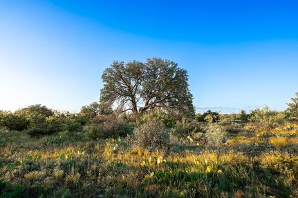 Farm Property for sale in Concho County, Texas