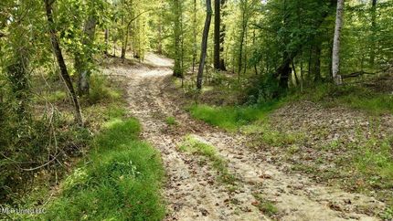 Hunting Land for sale in Madison County, Mississippi