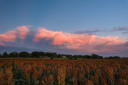 Property for sale in Barton County, Kansas