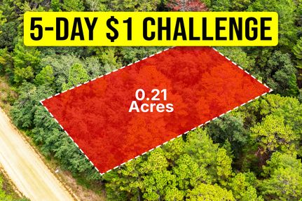 Undeveloped Land for sale in Putnam County, Florida