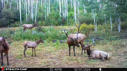 Recreational Property for sale in Montrose County, Colorado