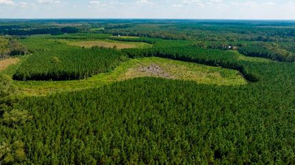 Timberland Property for sale in Screven County, Georgia