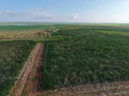 Hunting Land for sale in Walworth County, South Dakota