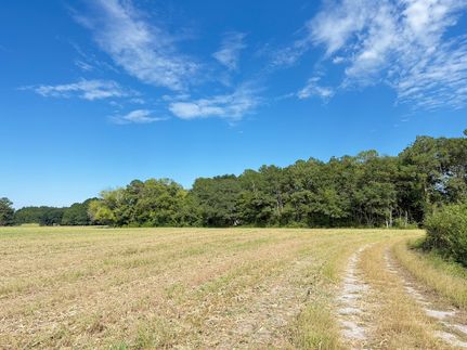 Farm Property for sale in Marlboro County, South Carolina