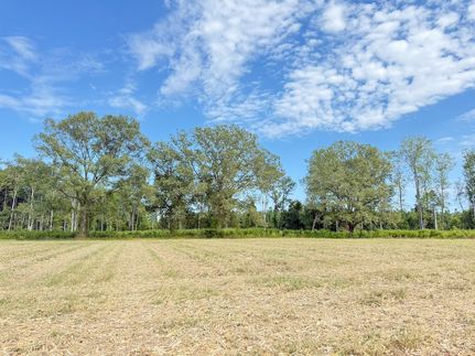 Farm Property for sale in Marlboro County, South Carolina