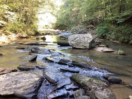 Ranch Property for sale in Polk County, North Carolina