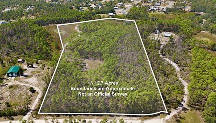 Timberland Property for sale in Taylor County, Florida