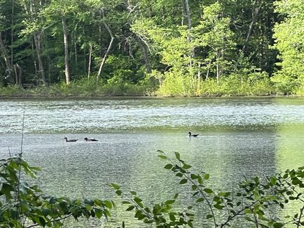 Farm Property for sale in Lauderdale County, Alabama