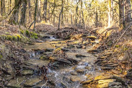 Farm Property for sale in Logan County, Arkansas