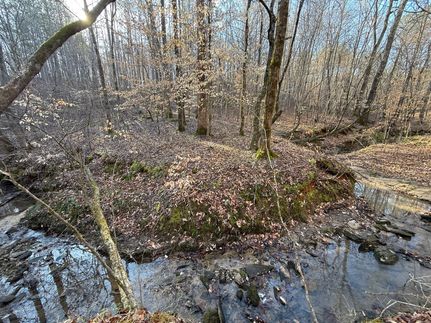 Property for sale in Clay County, Alabama