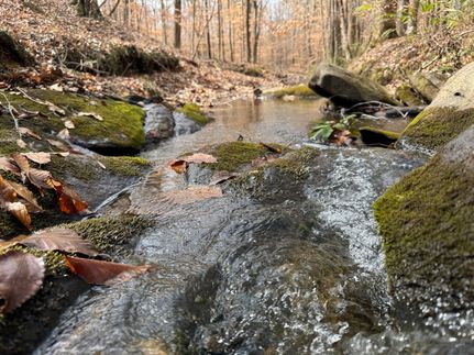 Residential Property for sale in Tallapoosa County, Alabama