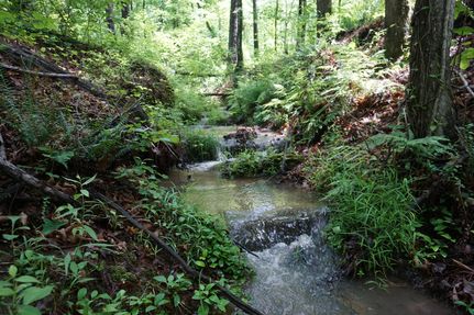 Ranch Property for sale in Lamar County, Georgia