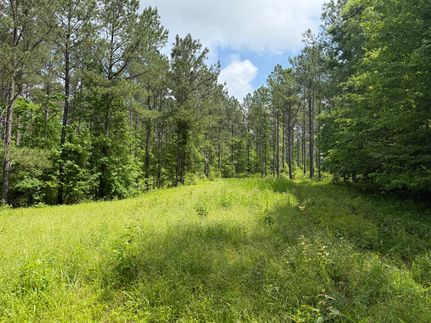 Undeveloped Land for sale in Coosa County, Alabama