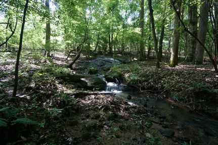 Property for sale in Coweta County, Georgia